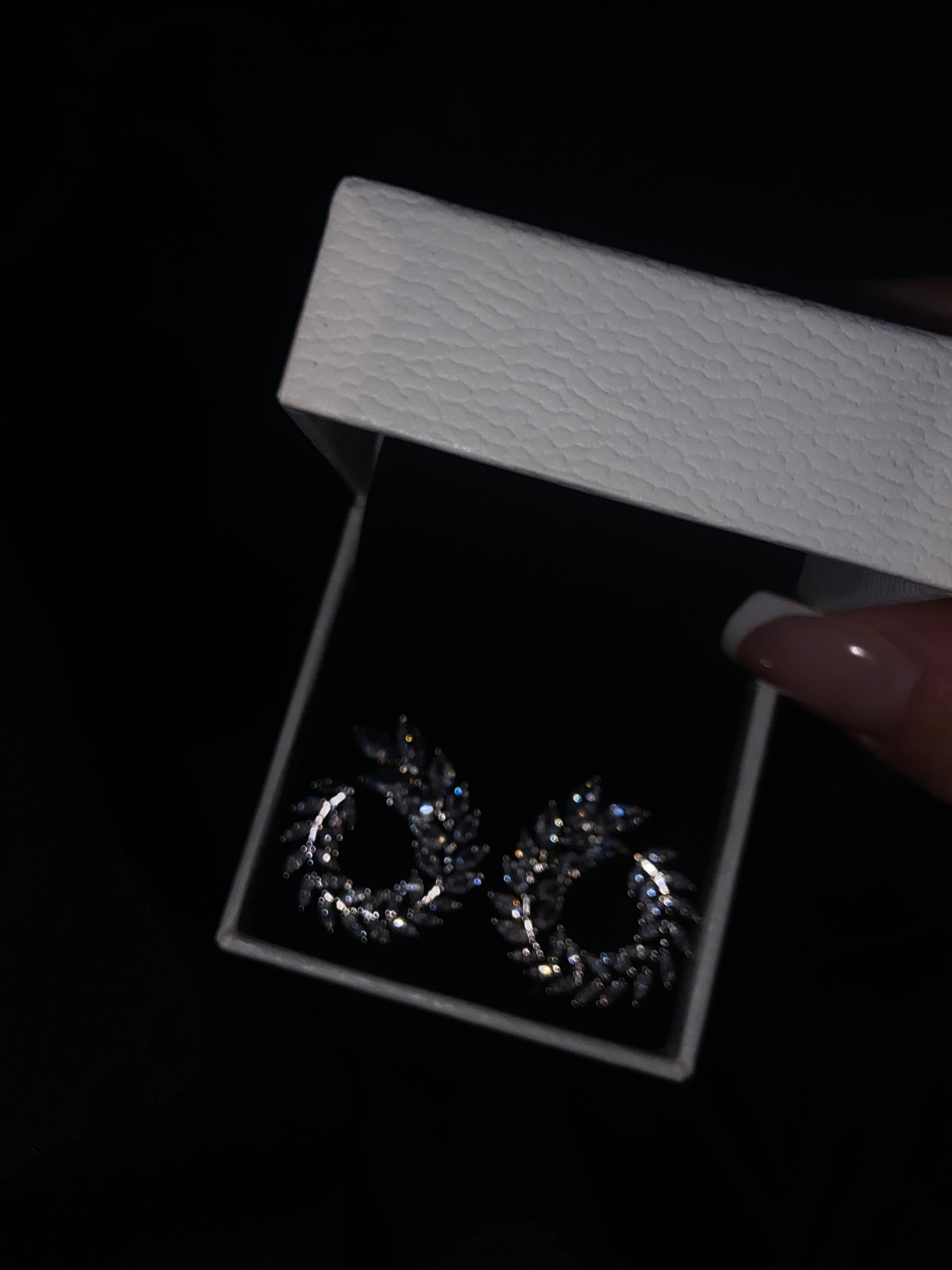 Orecchini Heavenly Leaves