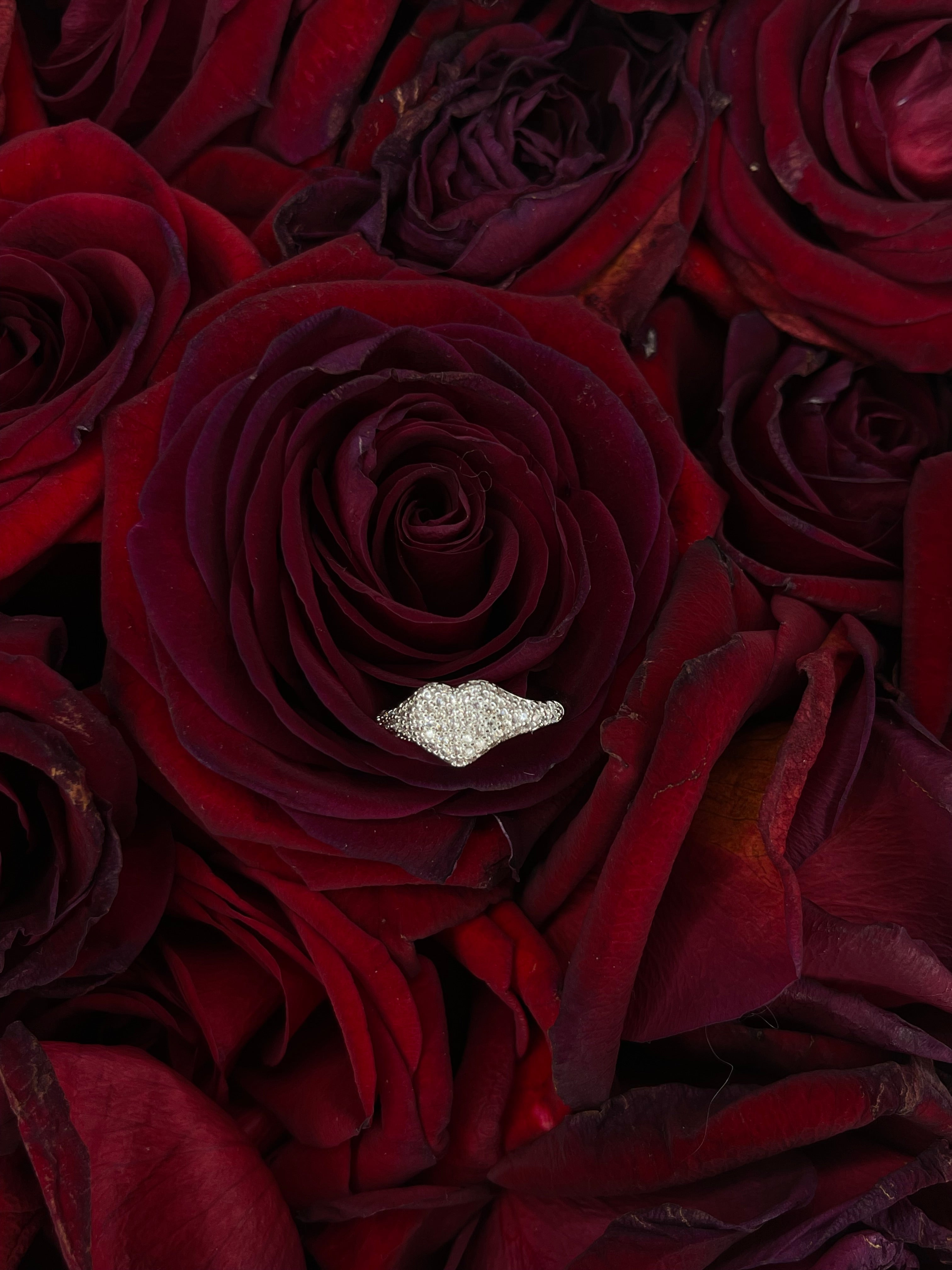 anello Chevalier mignolo