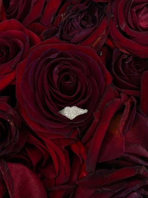 anello Chevalier mignolo